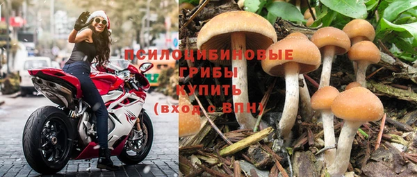 спиды Медвежьегорск