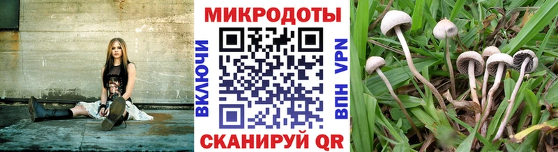 как найти наркотики  Игарка  Псилоцибиновые грибы Cubensis 